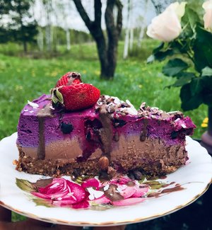 Sugar-Free, Raw & Plant Based Cake Heaven Recipe Book