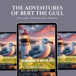 The Adventures of Bert The Gull | Poetry Ebook | Poetry Verse | Digital Literature | Original Poetry | Poetry | Literary Ebook | Ebook