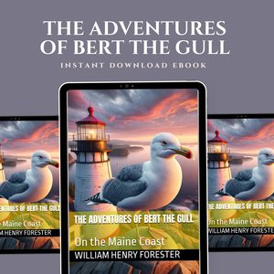 The Adventures of Bert The Gull | Poetry Ebook | Poetry Verse | Digital Literature | Original Poetry | Poetry | Literary Ebook | Ebook