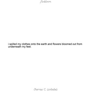 E-Book: Firebloom