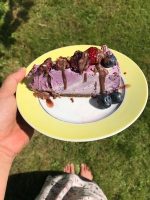 Sugar-Free, Raw & Plant Based Cake Heaven Recipe Book