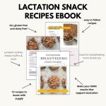 Homemade Lactation Snack Recipes Ebook