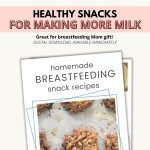 Homemade Lactation Snack Recipes Ebook