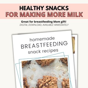 Homemade Lactation Snack Recipes Ebook