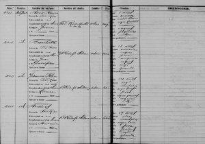 Slave Census Records of Sabana Grande, Puerto Rico c. 1872