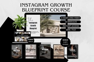 The Instagram Growth Blueprint MRR Course Digital Marketing Guides With Master Resell Rights PLR Digital Products Done For You DFT Resell