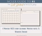 NCLEX Study Guide, NCLEX Guide to 85© Study Guide | Complete Next-Gen nclex-RN Study Plan, ngn Study Guide, Nursing Perspective