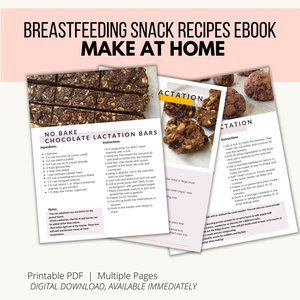 Homemade Lactation Snack Recipes Ebook