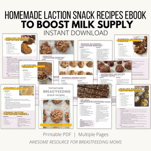 Homemade Lactation Snack Recipes Ebook