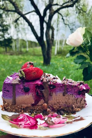 Sugar-Free, Raw & Plant Based Cake Heaven Recipe Book