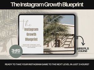 The Instagram Growth Blueprint - MRR Course | Strategy Guide with Master Resell Rights | Instagram For Business Owners Digital Marketing,DFY