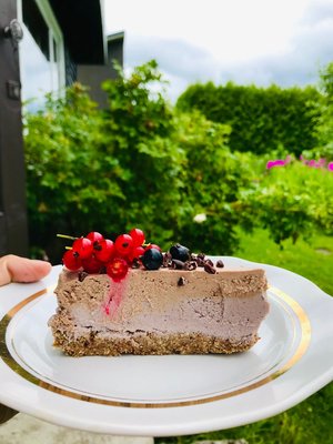 Sugar-Free, Raw & Plant Based Cake Heaven Recipe Book