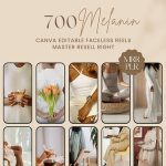 3000+ Faceless Aesthetic Videos Photo Bundle for Instagram Reels, Faceless Digital Marketing Videos Master Resell Rights, MRR/PLR, Canva