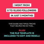 TikTok Guide with Resell Rights, How to Grow on TikTok, TikTok Template, Get Followers on TikTok, Instant Download, How To Guide, eBook, PLR