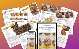 Homemade Lactation Snack Recipes Ebook