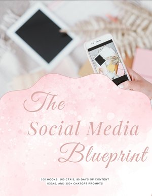 The Social Media Blueprint + MRR/PLR