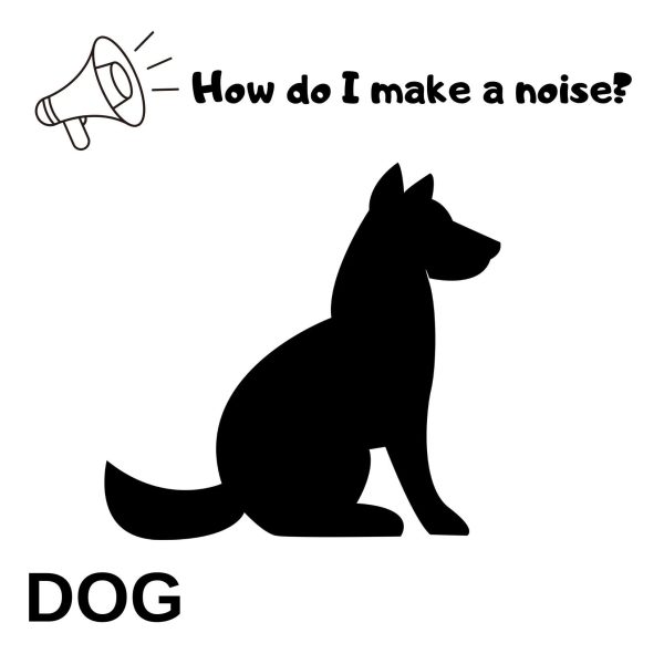 Specially designed first dictionary for your baby, first dictionary designed for the language development of babies, first books for babies