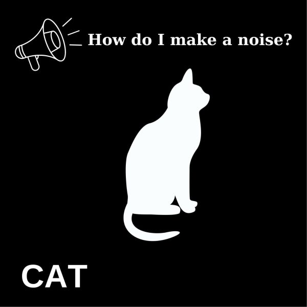 Specially designed first dictionary for your baby, first dictionary designed for the language development of babies, first books for babies