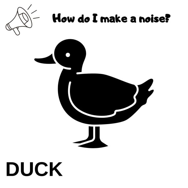 Specially designed first dictionary for your baby, first dictionary designed for the language development of babies, first books for babies