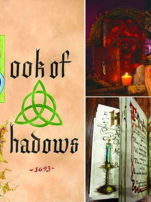 The complete charmed book of Shadow - Magic, Proverbs, Witchcraft, Drinks Rituals, Occulte, Witch, Wiccan, Pagan Instant Printable Download