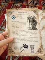 21 herbs and plants and their magical and medicinal applications (in French) - Book of Shadows, Grimoire