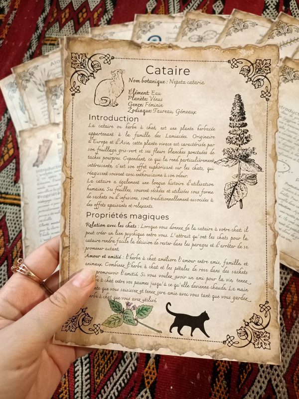 21 herbs and plants and their magical and medicinal applications (in French) - Book of Shadows, Grimoire