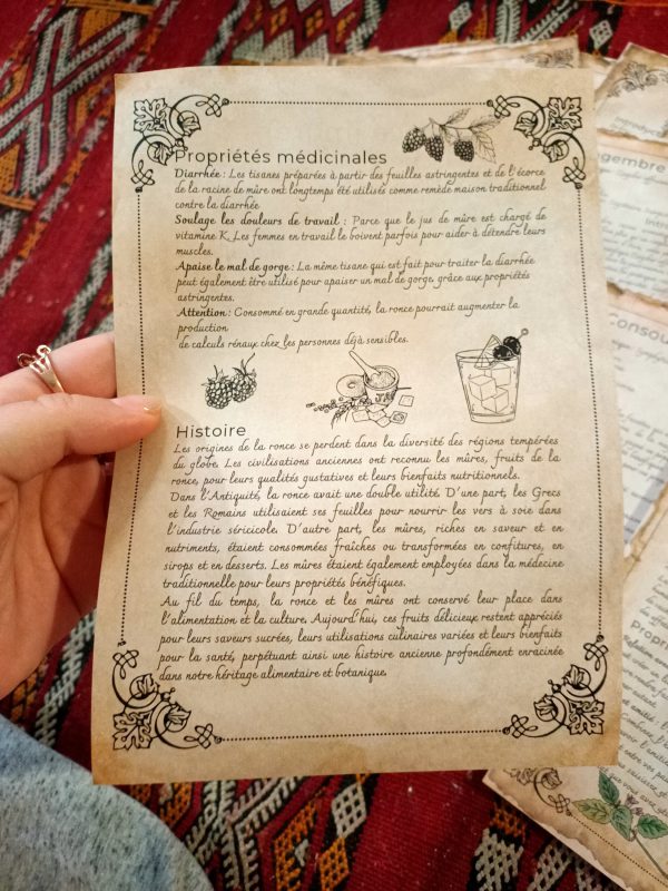 21 herbs and plants and their magical and medicinal applications (in French) - Book of Shadows, Grimoire