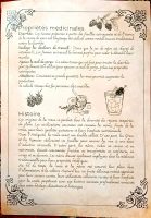 21 herbs and plants and their magical and medicinal applications (in French) - Book of Shadows, Grimoire