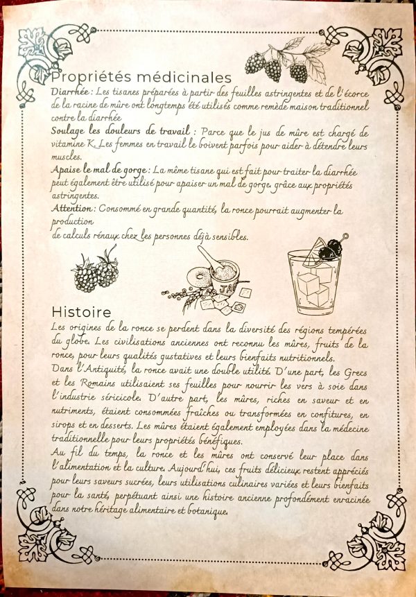 21 herbs and plants and their magical and medicinal applications (in French) - Book of Shadows, Grimoire