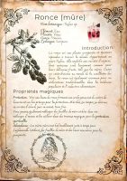 21 herbs and plants and their magical and medicinal applications (in French) - Book of Shadows, Grimoire