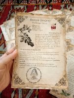 21 herbs and plants and their magical and medicinal applications (in French) - Book of Shadows, Grimoire