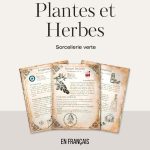 21 herbs and plants and their magical and medicinal applications (in French) - Book of Shadows, Grimoire