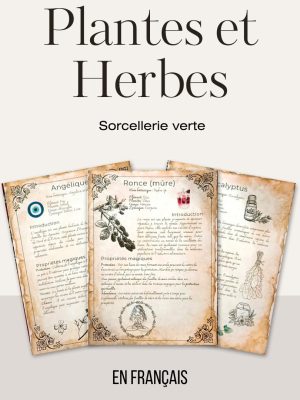 21 herbs and plants and their magical and medicinal applications (in French) - Book of Shadows, Grimoire