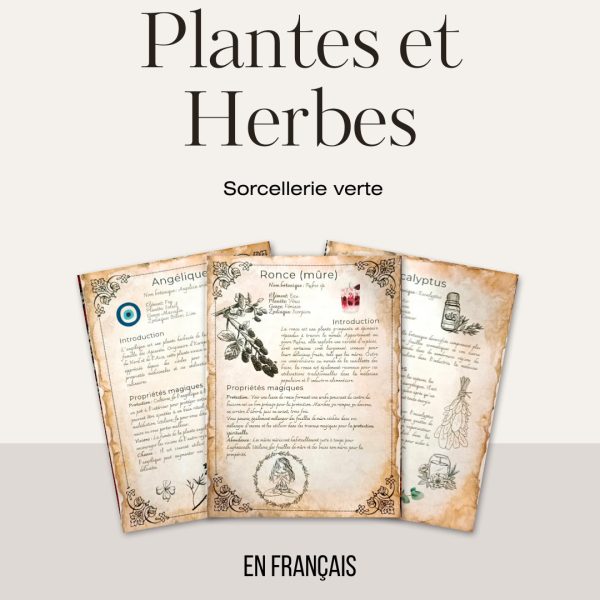 21 herbs and plants and their magical and medicinal applications (in French) - Book of Shadows, Grimoire