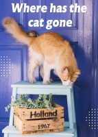 Enchanting Tales PLR bundle: 13 Animated e-books for children + bonus-e-book of 100 stories