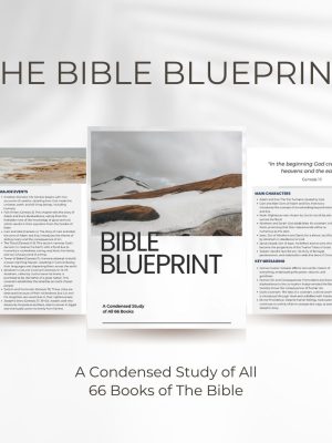 The Bible Blue Print - Full Bible study and overview of all 66 books