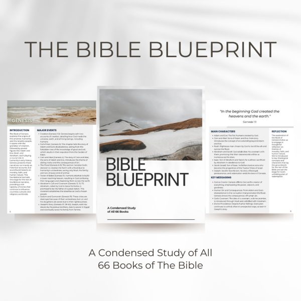 The Bible Blue Print - Full Bible study and overview of all 66 books