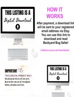 Backyard Bug Safari Adventure digital gift book download full length award winning published book