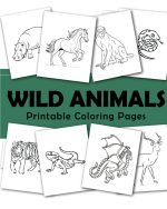 wild animal coloring book26 pagesNice coloring pagesFor children and adultsDigital download720x900