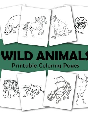 wild animal coloring book26 pagesNice coloring pagesFor children and adultsDigital download720x900