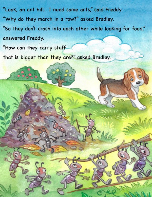 Backyard Bug Safari Adventure digital gift book download full length award winning published book