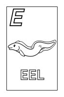 My first coloring book: aquatic animals